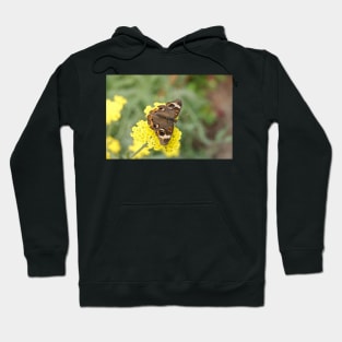 Junonia coenia butterfly, known as the common buckeye, on yellow flowers Hoodie